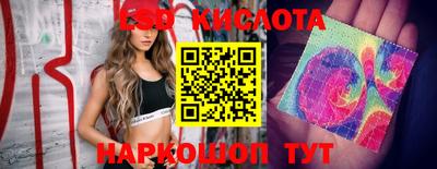 дмт Берёзовский